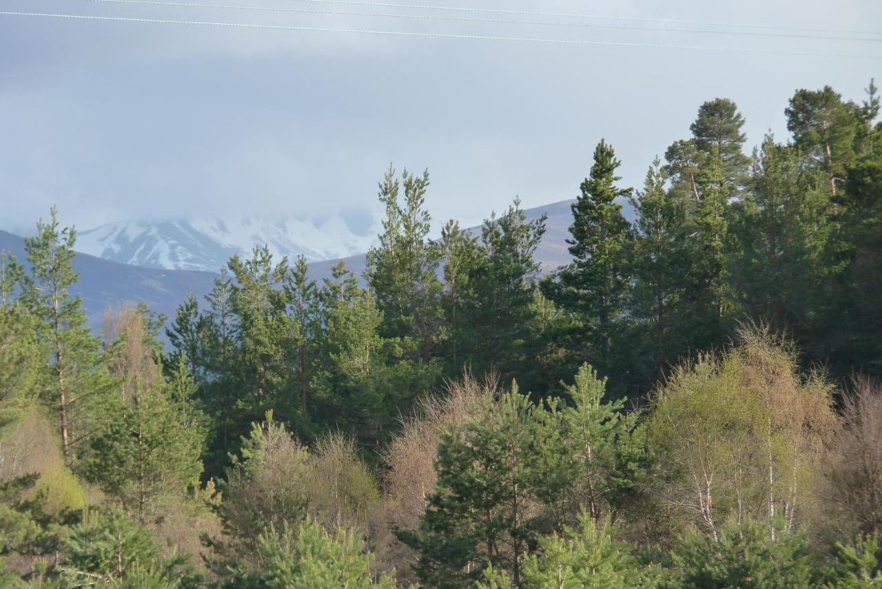 Tanleys B&B Grantown-on-Spey ภายนอก รูปภาพ